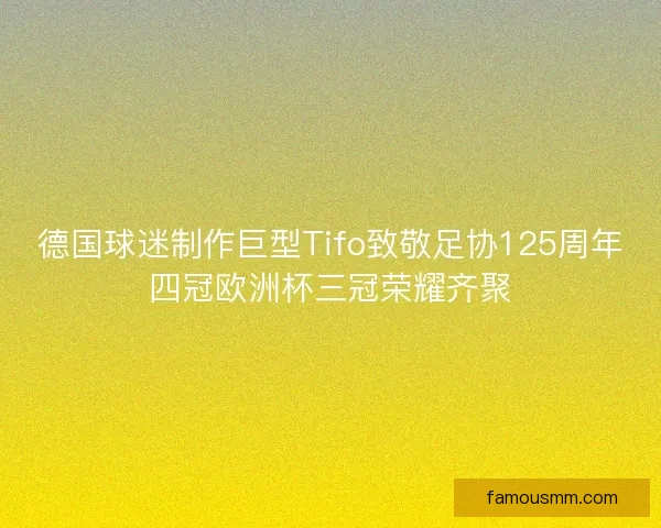 德国球迷制作巨型Tifo致敬足协125周年四冠欧洲杯三冠荣耀齐聚